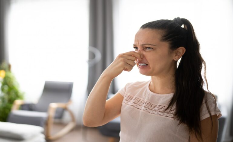What Causes A musty Odor Smell In Homes?