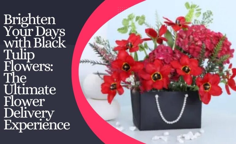  Brighten Your Days with Black Tulip Flowers: The Ultimate Flower Delivery Experience