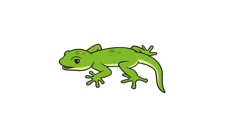 Lizard drawing for kids