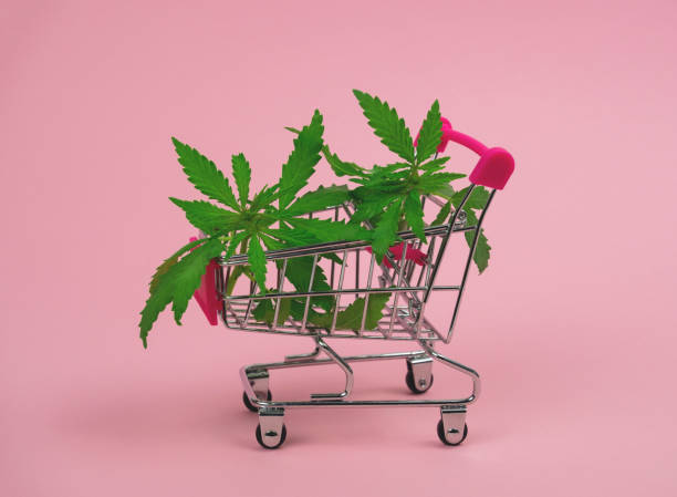  Your Ultimate Guide to Buying Weed Online in Canada